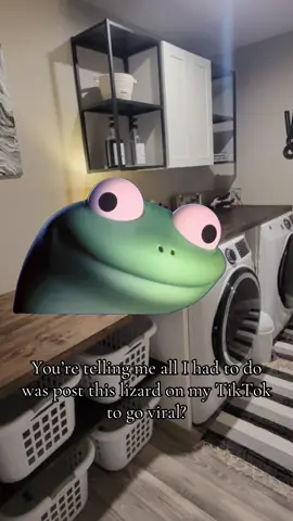#Meme #MemeCut #fyp #lizard #MomsofTikTok 