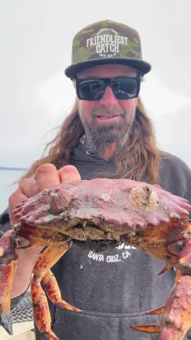 Barnacle Chronicles #fishing #friendliestcatch #barnaclechronicles 