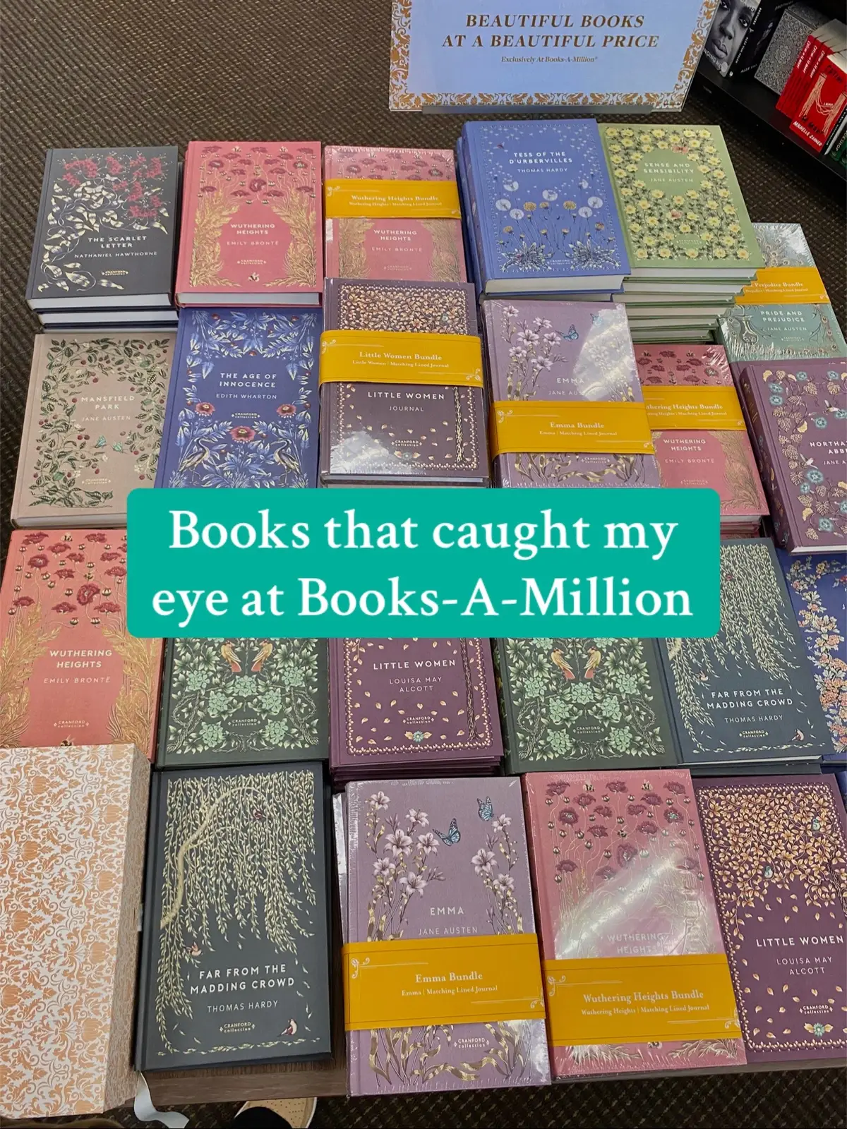 what’s your current read? #books #booksamillion #bookshopping #fyp 