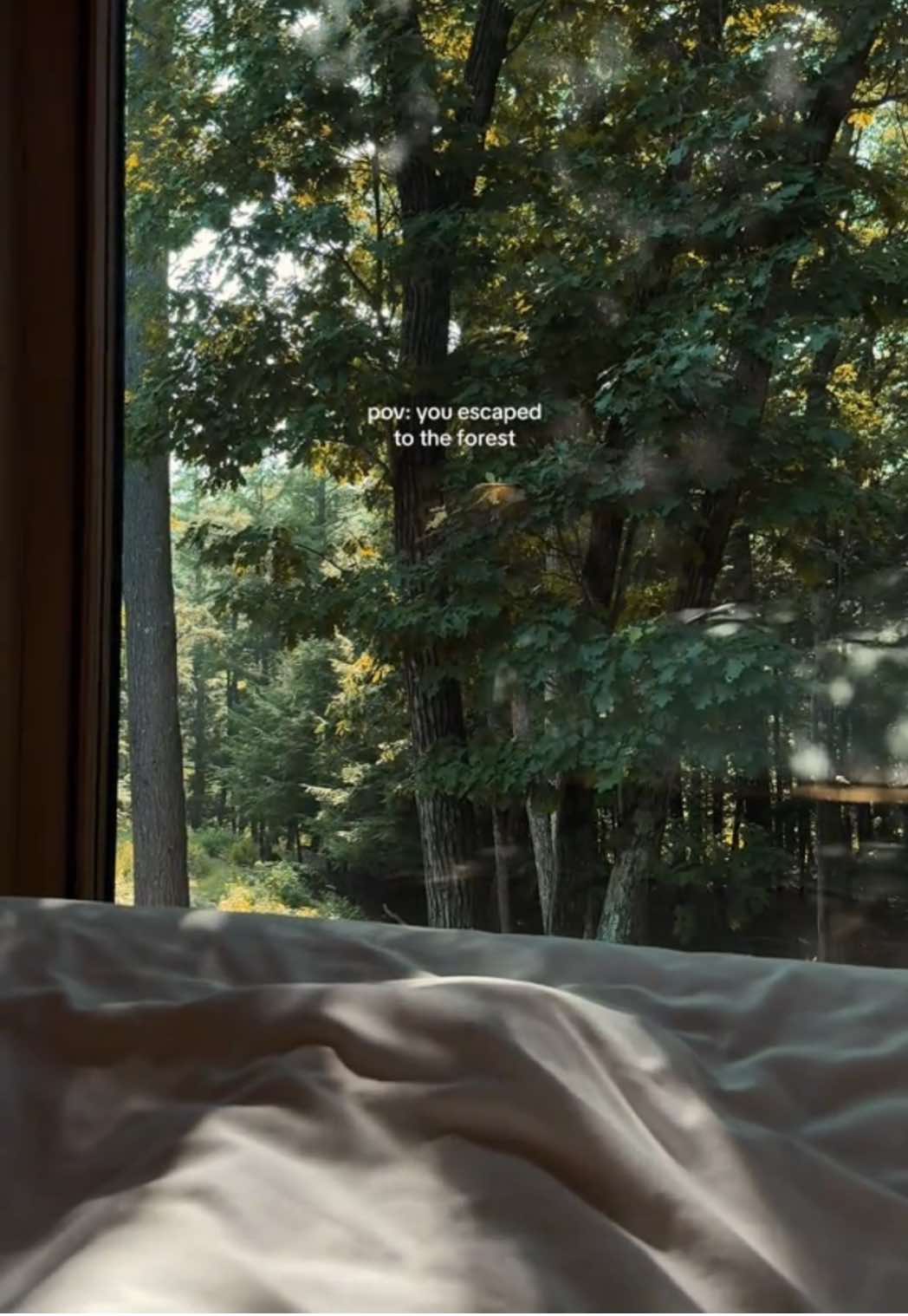 Peaceful days in upstate new york 🌲 #upstateny #twilight #naturetravel #uniquestays  #piaulecatskill 