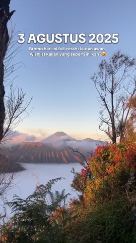 Siapa yang beruntung hari ini? #bromotrip #explorebromo #bromotravel #exoticbromo 
