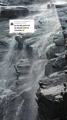 Respuesta a @angeldelacruz9108  Hickory Nut Falls  La caminata de 2.4 km (ida y vuelta) es un hermoso paseo a través de bosques frondosos,junto a acantilados rocosos.  durante la camita por el sendero puedes observar flores silvestres raras y en peligro de extinción, así como especies clásicas como la foca de Salomón   Se admiten mascotas con correa. Este sendero comienza en la parte baja del estacionamiento principal, debajo de la Chimenea. También conecta con otros senderos del parque, como el Sendero de las Cuatro Estaciones, que desciende por la montaña, y el Sendero de los Afloramientos, que sube hasta la cima de la Chimenea. #cascadas #HickoryNutfalls #NorthCarolina #lugaresparavisitar #enfamilia #recommendations #montañas #chimneyrock atas #ChimneyRock #statepark   