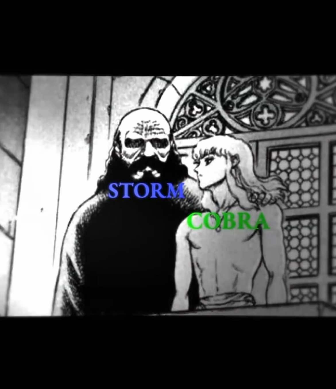 Diss :@عبدالرحمن الشمري . #team_storm🌪️ #team_stone🐐 #berserk #berserkmanga #griffith #griffithberserk #king #edit #fyp 