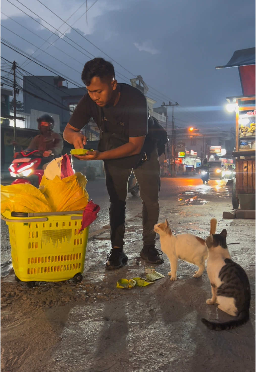 Ketika langkah ini terhambat, aku akan terus mencoba bangkit tanpa harus memikirkan besok aku jatuh atau tidak. 🐈🐕❤️ #catlover #streetfeeding #straycat #depok 