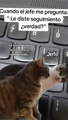 #CapCut 