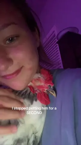 diva #chickensoftiktok #fyp #foryou #clingy #dramatic 