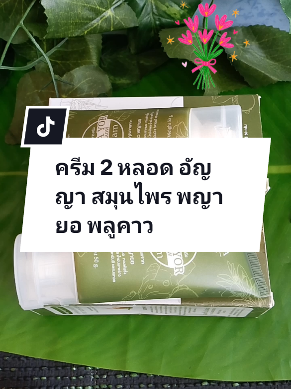 #ครีม 2 หลอด อัญญา สมุนไพร พญายอ พลูคาว#ครีมสมุนไพร #สมุนไพรอัญญาพญายอพลูคาว #คลิปนี้ต้องฟีด #tiktokป้ายยา 