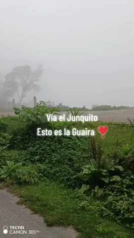 Vía el Junquito 🥳  Esto es la Guairaaaaaaa🥰 QUEEEE ESPECTACULAR EL CLIMA🏞️🥶 SU COMIDA Y LAS FRESAS CON CREMAS🤤#paisajes #viralditiktok #paratiiiiiiiiiiiiiiiiiiiiiiiiiiiiiii #laguairavenezuela🇻🇪 