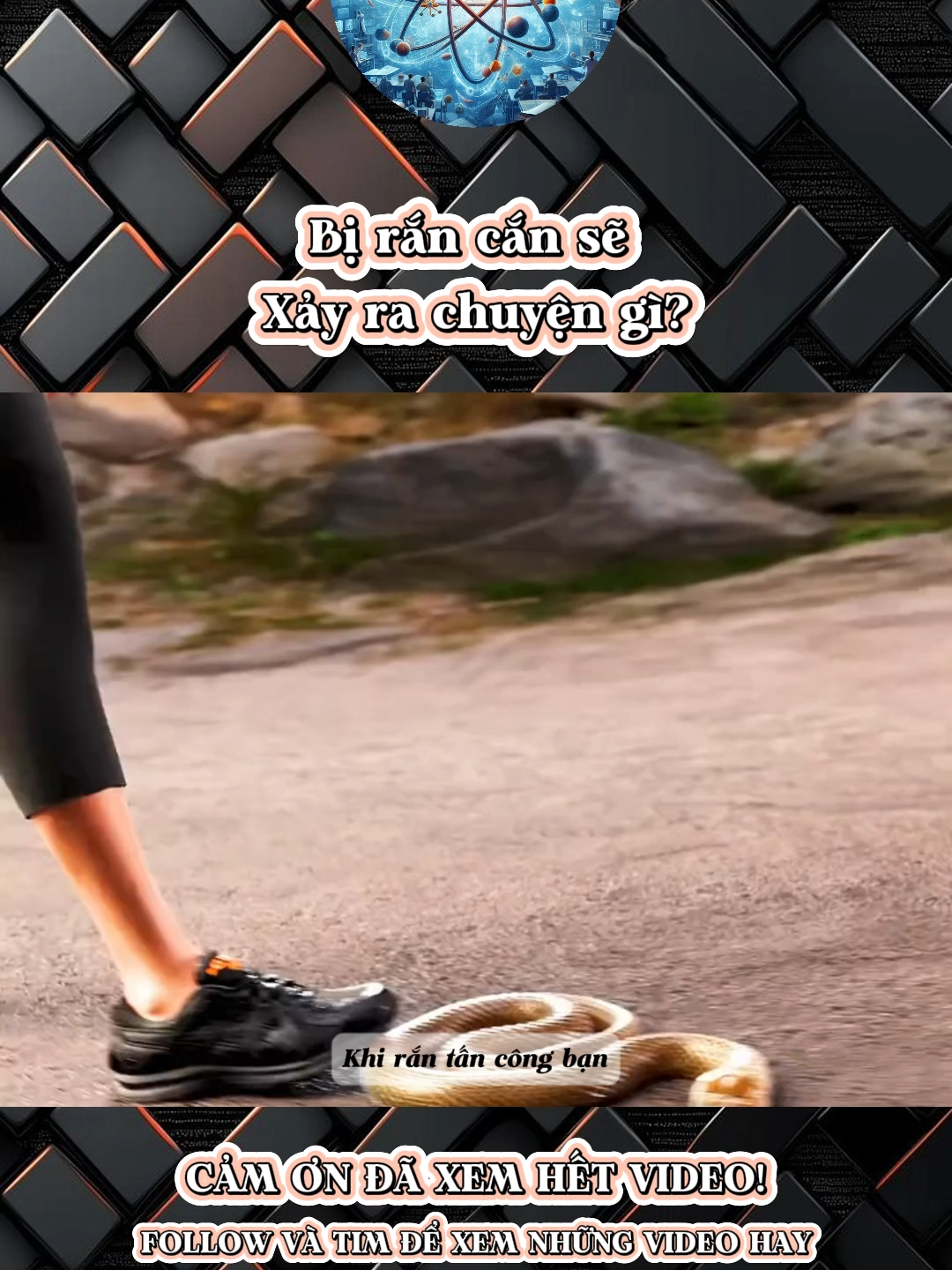 Bị rắn cắn sẽ xảy ra chuyện gì?#cothebanchuabiet #kienthucthuvi #LearnOnTikTok #giaitri #xh #khampha #kienthuchay #kienthuc