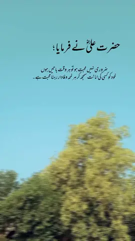 Hazrat Ali Firmate hain 🌸 🖤#ik_hasan1  #its_h4sn#1millionaudition#grow  #aesthetic #poetrystatus #foryou #foryoupage #fyp #fyp1millionviews 