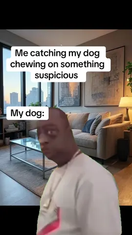 #CapCut #fyp #funnyanimals #australianshepherd #dogs #puppytraining #starbucks #roadto10k #xyzbca #dogsoftiktok #dogtok #puppytiktok #tiktokgrowth #animalfails #dog 