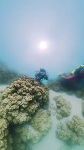 #mexico🇲🇽 #scubadiving #buceo #piratasdivers #raidlatam #ecoturismo #mxtravel #scuba #buceomx #puebla #achichica #laguna #lagunadeachichica 