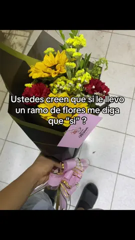 #regalo #flores #girasoles #regalame❤️ #regalar #me #diga #que #si #enamorado #gente #ramo de