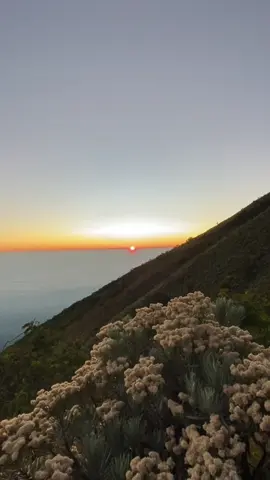 Ini terlalu keren🥹  #promoseruweekend #pendakigunung #fyppppppppppppppppppppppp #sindoromountain #sindoro #edelweiss #sunrise 