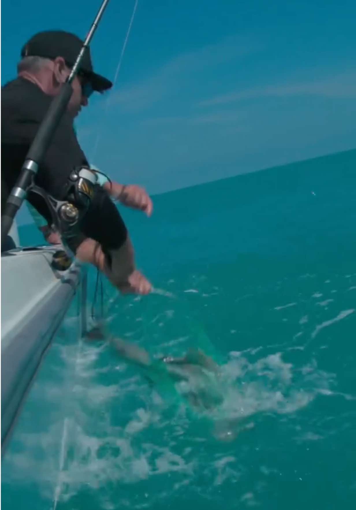 Commercial Guide or Charter Guide? 🎥: Fishing with Zeus in Key West! | S10:E2 Local Knowledge is Available on YouTube, Waypoint TV & Streaming apps