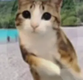My first jugg edit 🥹✌️ #fyp #fyppppppppppppppppppppppp #viral #juggtok #juggedit #meowl 