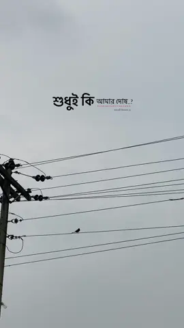 শুধুই কি আমার দোষ..?❤️‍🩹#foryoupage #foryoupage❤️❤️ #fypシ゚viral #bdtiktokofficial🇧🇩 #growmyaccount✅ @TikTok Trends @TikTok 
