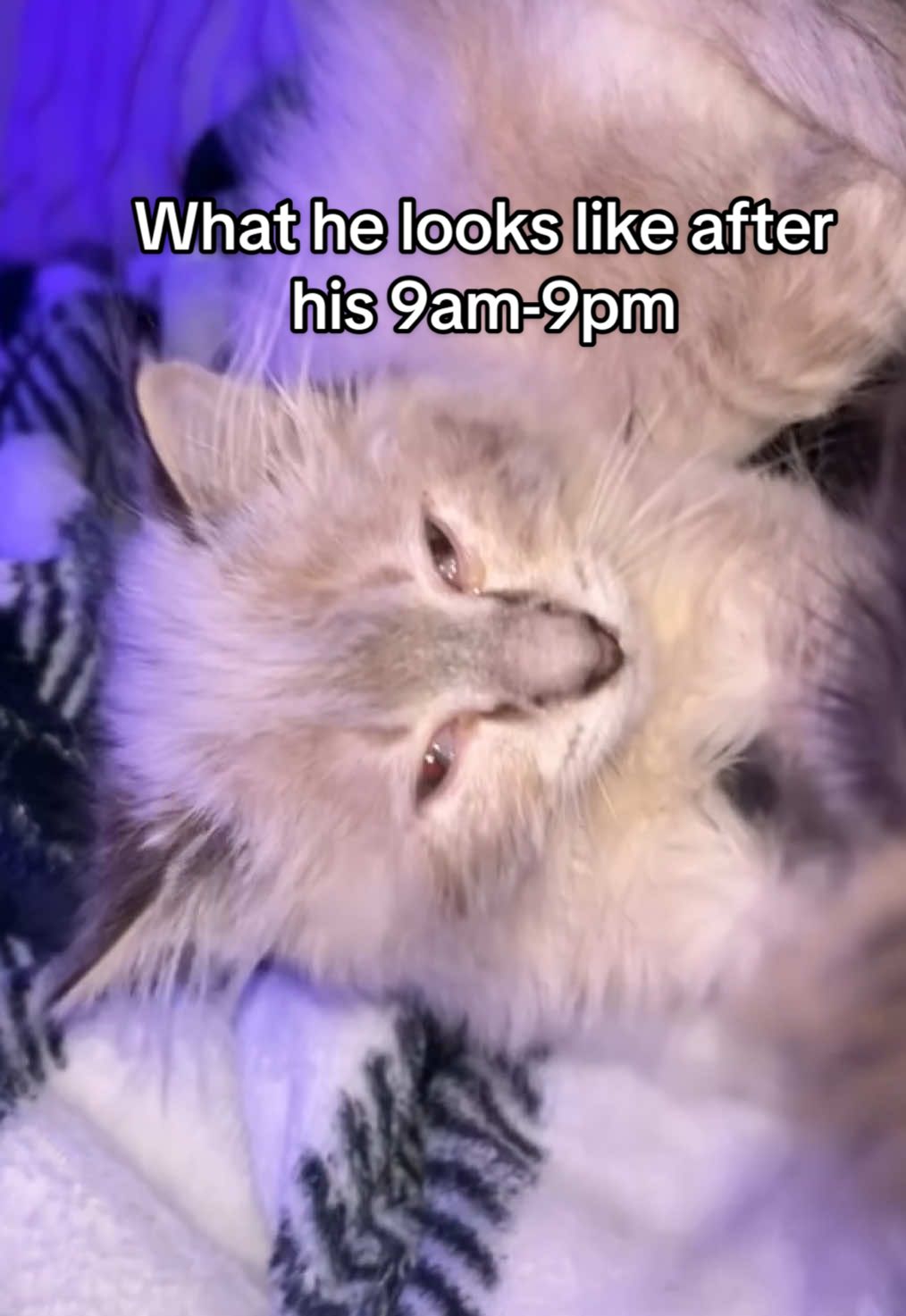 Night shift called out AGAIN!! 😞 #kittensoftiktok #hardwork 