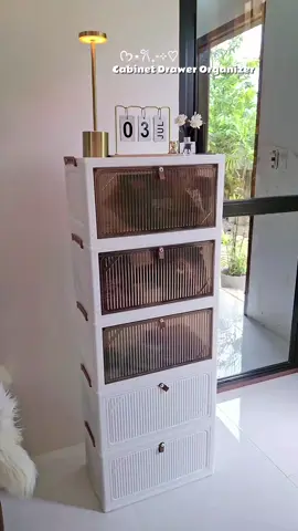 cabinet drawer organizer 💕✨️ #cabinet #cabinets #cabinetdrawerorganizer #drawerorganizer #creatorsearchinsights 