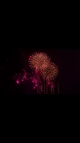 All the firewoks i have seen #fireworks #CapCut #花火大会 #花火 