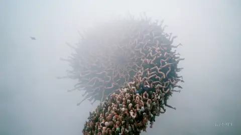 The Spiral of Fate #aiart #viral #tiktokart #visualart #humanart #surreal #arttok 