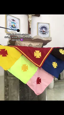 “Thiên Chúa luôn soi sáng cho bạn” #conggiao #thieunhithanhthe #xudoanmariagoretti🥰 #xh 