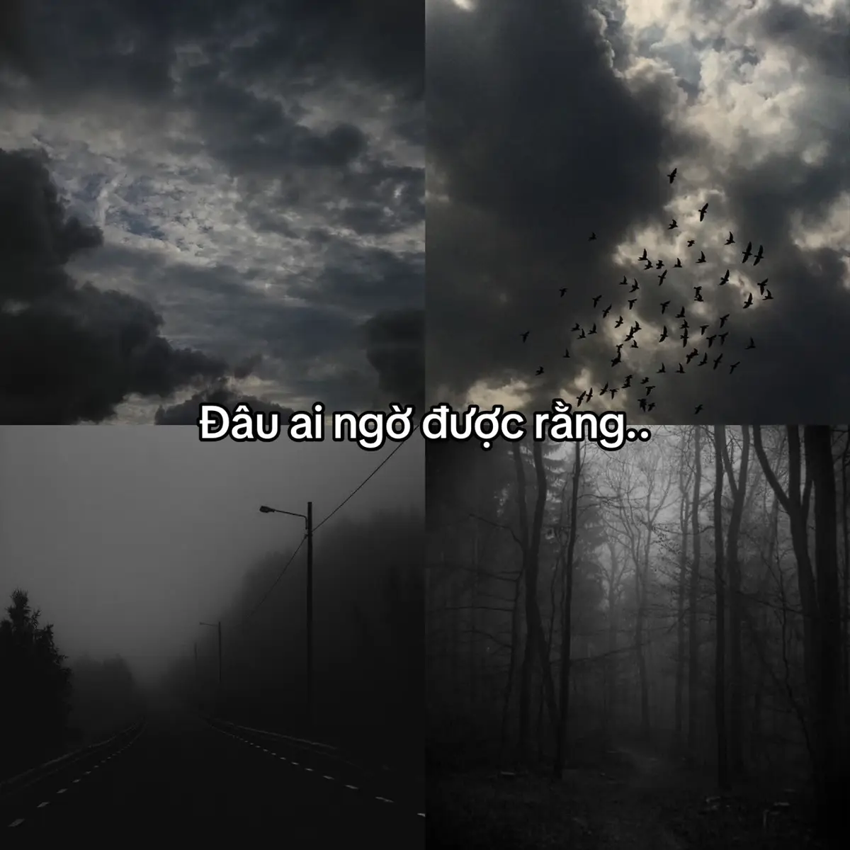 id: k nhớ.. || #douma #kny #xuhuong #viral #fyp 