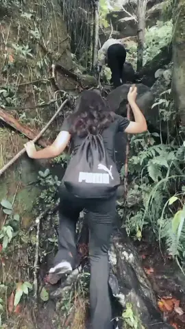 when life hurts, nature heals 
