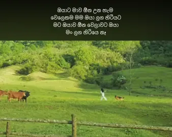 #fyp #foryou #1m #sad #trending #relatable #peaceful #fypシ #livealone 