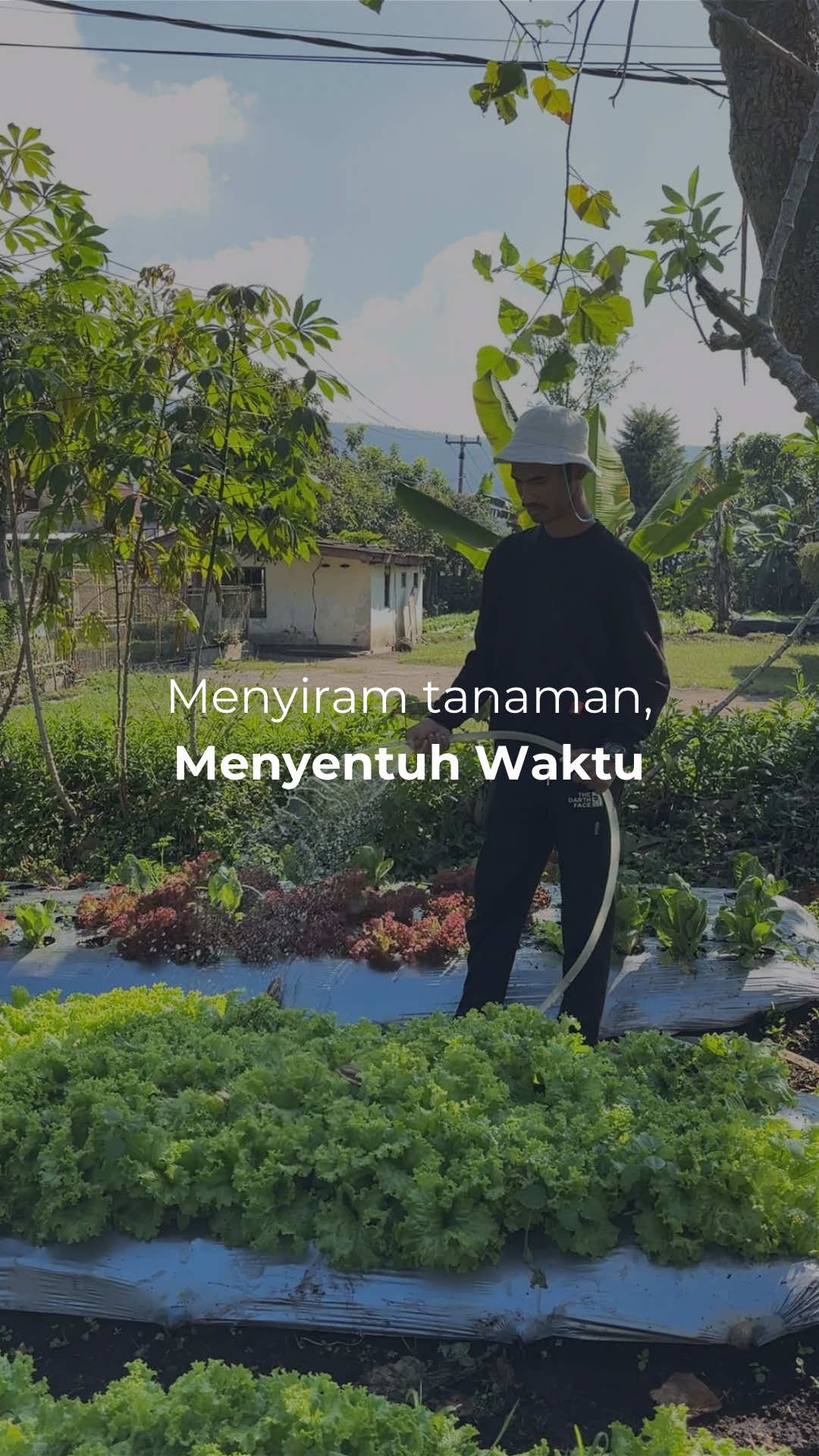 Bertani itu bukan cuma soal kerja keras, tapi juga peka terhadap waktu ⏰🌿 Tanaman tak bisa bicara, tetapi mereka memberi tanda. Yang kita butuhkan hanya sedikit perhatian dan ritme yang tepat 💧✨ #BelajarDariLadang #PertanianBerkelanjutan #EcoFarm #SmartFarming #BumiAgroTechnology
