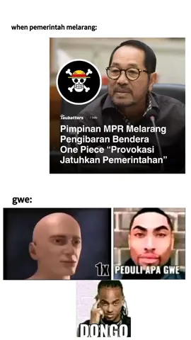 pemerintah blum tau rasanya jadi wibu wok #onepiece #fyp #memes #otaksaraf #menujuindonesiaemas 