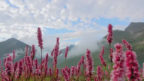 Heaven on Earth 🌍 #standwithkashmir #kashmir #foryoupage #rattigalilake #neelumvalley #veiwsproblem 