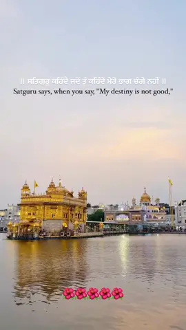 Follow for more❤️ #punjab #maa #pind 
