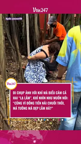 DỄ THƯƠNG QUÁ #tiktokgiaitri #giaitritiktok #tiktoknews #vtin247 