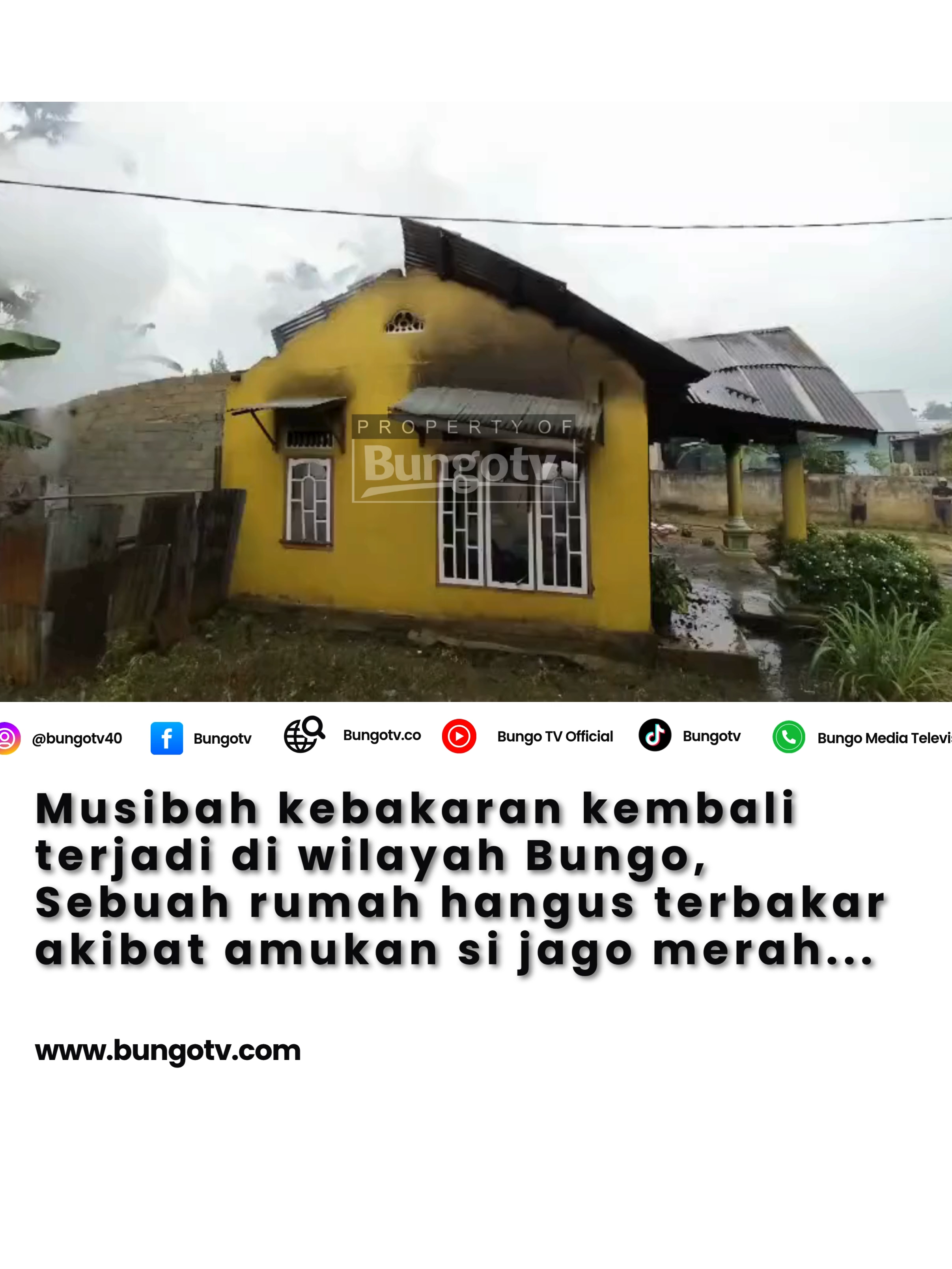 #kabarjambi #infojambi #sumbar #kabarsumbar #jambi #infosumbar #viral #muarabungo #fyp #tebo #kabarbungo #bungoupdate #kotajambi #tanjabarat #sarolangun #sosialmedia #muarojambi #jambiinfo #kerinci #jambiviral