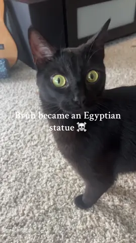 His ancestors tapped in #blackcat #catstatue 