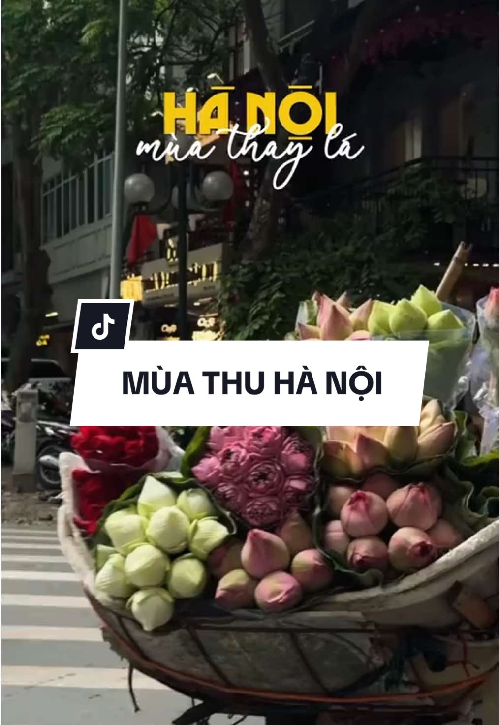 #CapCut Hà Nội tháng 8 se se lạnh rồi lên kèo rủ đứa bạn ngay thuii#thuhanoi 