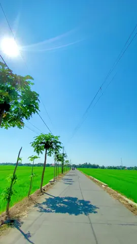 Mentahan ngab Monggo silahkan ambil Ndak usah follow like gpp @lan_002_herlan Niki nggeh mas😎😂🍃🍀🌲😶‍🌫️☀️👍 #fypviralシ #cinematic #dirgahayuindonesia #mentahanvideo