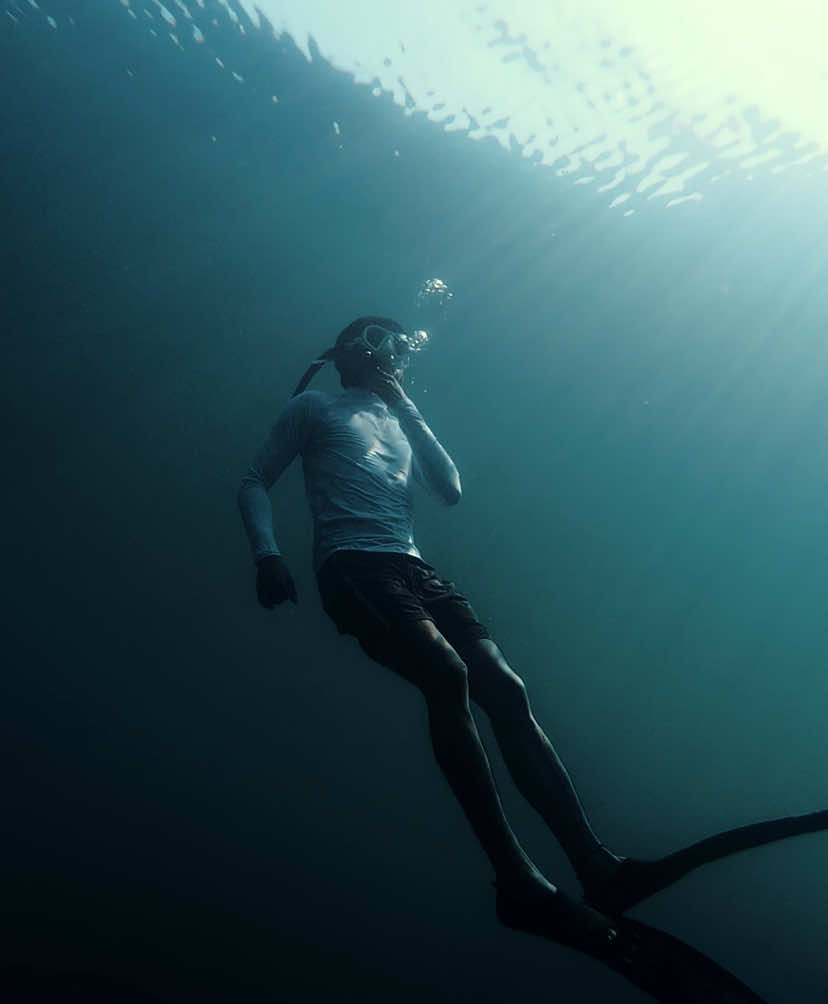 Howm #dji #djiaction4 #dive #premierpro #adobe #underwater #philippines #tiktokphilippines 