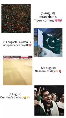 28 very special for naseemins. . . . . . . .@Naseem Shah #naseemfangir #khushishah #khushi #