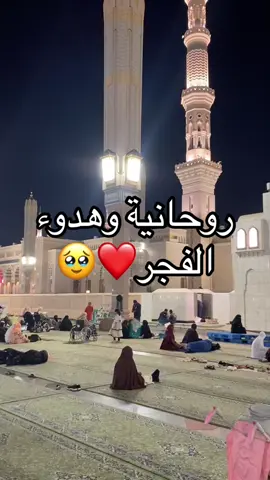 #المدينة_المنورة_الآن #الشعب_الصيني_ماله_حل😂😂 #اكسبلورexplore #المدينة_المنورة_الان #الحرمين_الشريفين #اكسبلورررررررر #المدينة_المنورة #صلاة_الفجر #صباح_الخير 