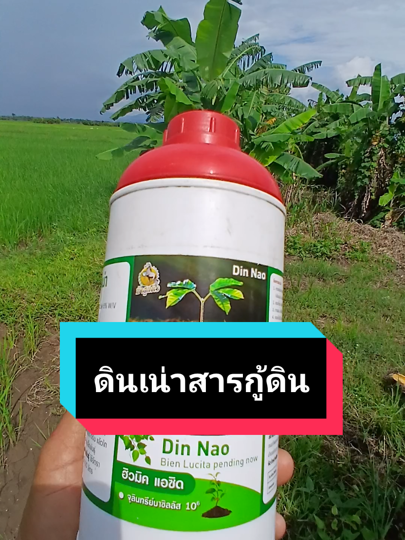ดินเน่สสารอินทรีย์จุลินทรีย์ธรรมชาติช่วยบำรุงดินปรับดินดินแข็งดินเสื่อมดินเปรี้ยวดินเค็มดินเน่าใช้ได้กับพืชทุกชนิด#ลุงเพียรคนแพร่ #ลุงเพียรใช้ดีบอกต่อ #ลุงเพียรรีวิว #ดินเน่า #ดินเน่ากู้ดิน ##ดินเน่า@ลุงเพียรคนแพร่ @ลุงเพียรคนแพร่ @ลุงเพียรคนแพร่ จุลินทรีย์ธรรมชาติ #นายหน้าtiktokshop #tiktokshopคีเอเตอร์ #นายหน้าออนไลน์tiktok 