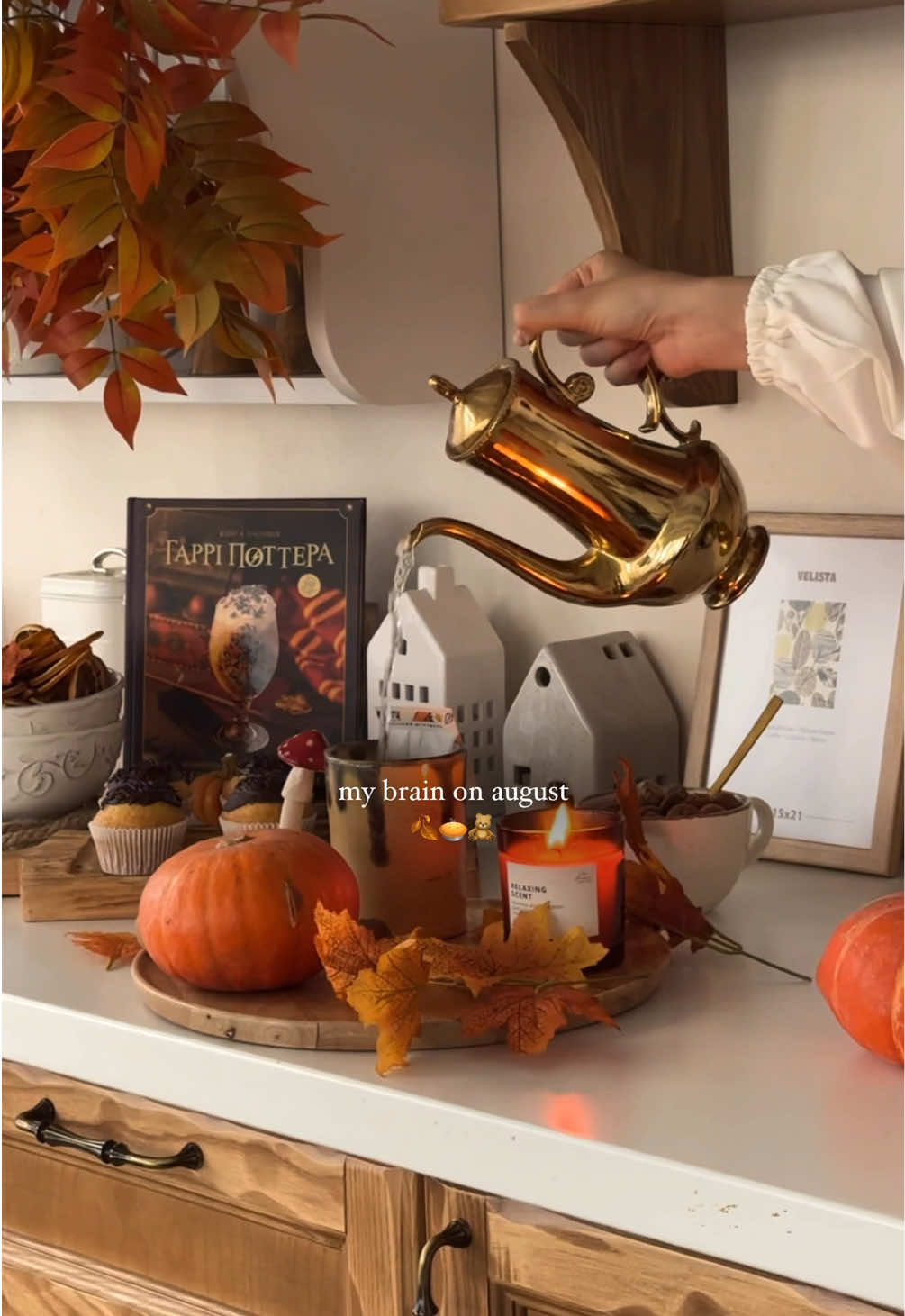 💔🍂 #autumn #autumnvibes #autumnaesthetic #fallvibes #pumpkinseason #pumpkin 