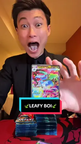 Say what now? #venusaur #pokemon #charizard #pokemoncards #pokemontiktok 