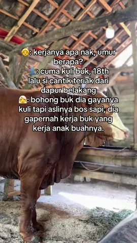 terbongkar sudah😔#garasikftb #foryou #peternakmuda #juragansapi #peternakmilenial 