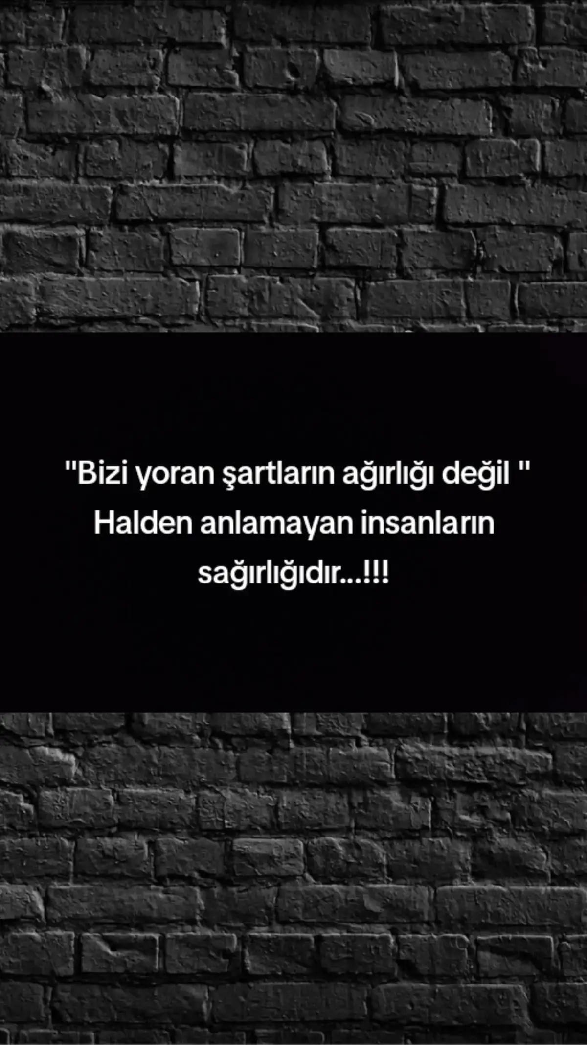 Herkes  herşeyi istediği gibi ve işine geldiği gibi anlamak da Özgür beni yeterince tanıyamamış ve anlamamak da ısrar eden kimse için çaba sarf edemem beni tanıyan zaten sınırlarımı bilerek davranır anlamak isteyen sessizliğimden bile bir anlam çıkarır zorlamaya gerek yok bazen. #sözler #söz #fytpシ #fypdonggggggg #fy #kesfetbenionecikar #kes #duygusalvideolar #akim #fypage #fyppppppppppppppppppppppp #CapCut #benikeşfet #beniöneal #fypシ゚ #kesfette #duygusalvideolar etkileşim #viraltiktok #kes #