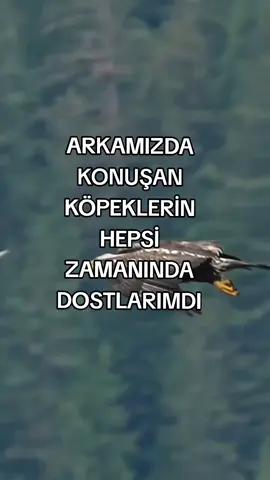 #keşfetbeniöneçıkart #keşfetbeniöneçıkart #keşfetbeniöneçıkart 