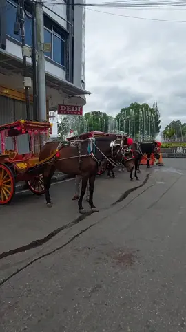 Kalau nyebut kota Bukittinggi orang pasti ingat akan nasi Kapau dan Jam Gadang.. #jamgadang  #minangtiktok  #fyp  #promoseruweekend 