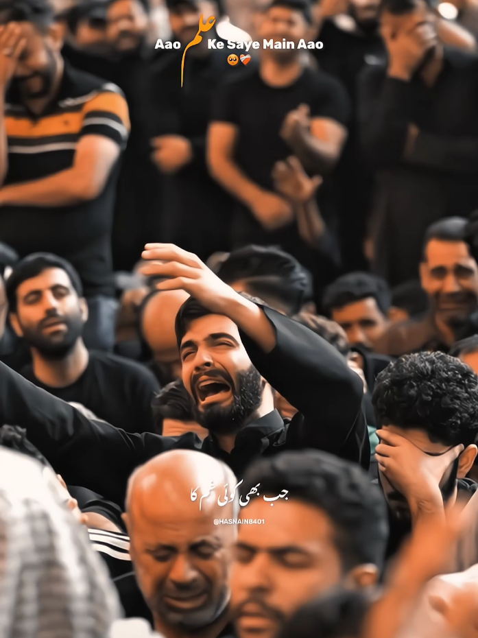 Aao Alam Ke Saye Main Aao 🥺❤️‍🩹 Noha Nadeem Sarwar Old Noha Status  #viral  #tiktok  #fypシ  #hussainimedia  #nohastatus  #hussaini  #edit  #noha  #status  #moulaali  #nadeemsarwar #mirhasanmir #farhanaliwarisofficial 