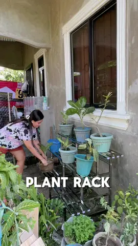 May lagayan na ng mga halaman Ang nanay ko, Ang ganda at mas organize tignan ng mga halaman🥰 #plantrack #plantstand #stainless 